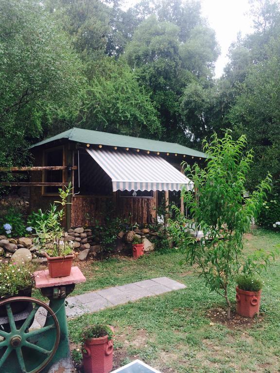 Cabañas Rahue Vilches Exterior foto